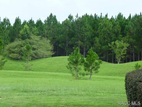 1608 E Gate Dancer Cir, Inverness, FL 34453 photo 31
