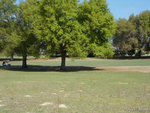 573 E Dakota Ct, Hernando, FL 34442 photo 4