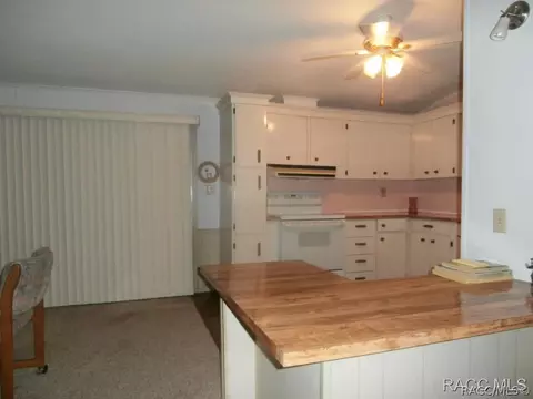 4075 E Towhee Ln, Hernando, FL 34442 photo 12