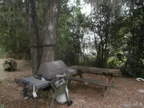 4075 E Towhee Ln, Hernando, FL 34442 photo 8