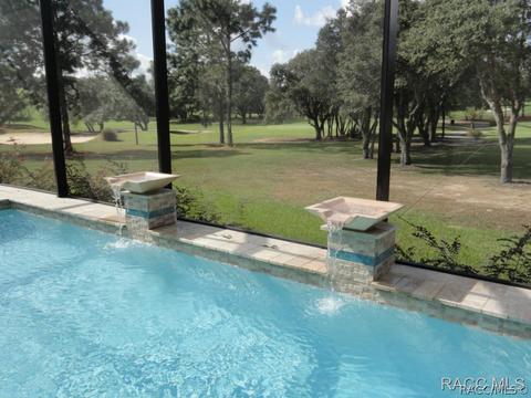 3029 W Shadow Creek Loop, Lecanto, FL 34461 photo 19