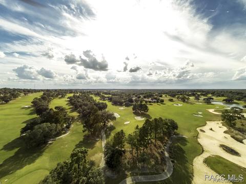 3029 W Shadow Creek Loop, Lecanto, FL 34461 photo 23