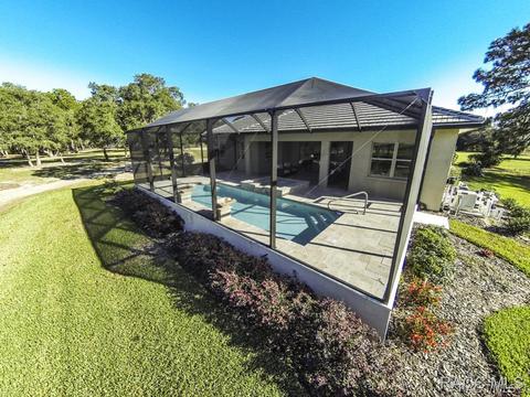 3029 W Shadow Creek Loop, Lecanto, FL 34461 photo 20
