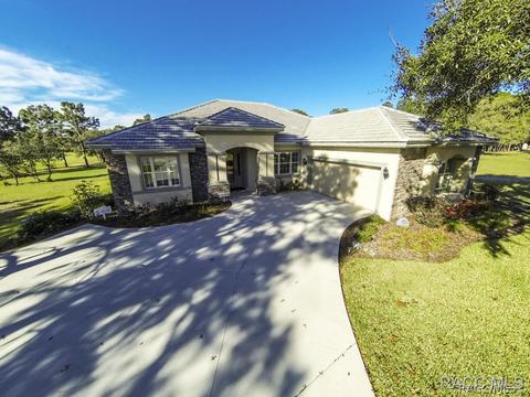 3029 W Shadow Creek Loop, Lecanto, FL 34461 photo 1
