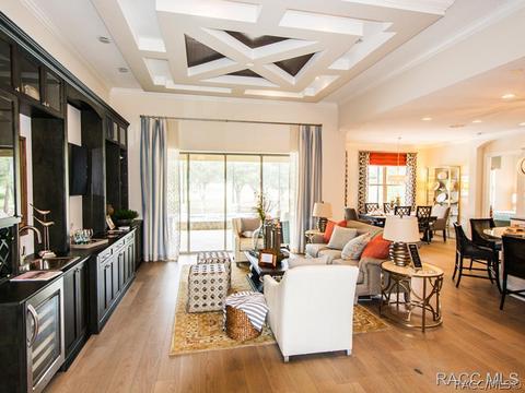 3029 W Shadow Creek Loop, Lecanto, FL 34461 photo 3