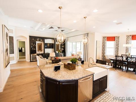 3029 W Shadow Creek Loop, Lecanto, FL 34461 photo 8