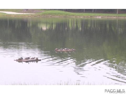 3786 W Augusta Path, Lecanto, FL 34461 photo 34