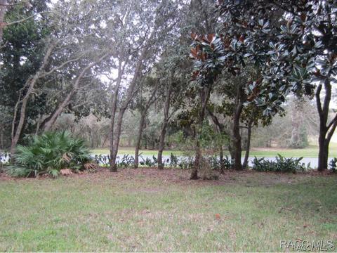 3786 W Augusta Path, Lecanto, FL 34461 photo 26