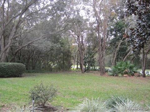 3786 W Augusta Path, Lecanto, FL 34461 photo 27
