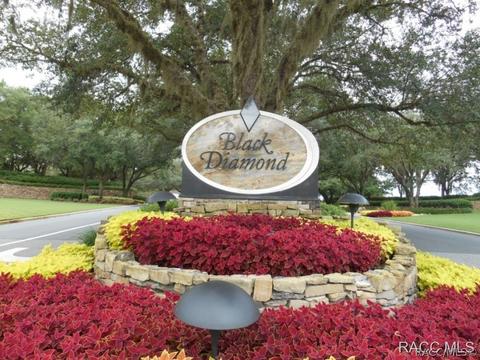 3786 W Augusta Path, Lecanto, FL 34461 photo 33