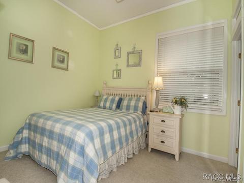 3786 W Augusta Path, Lecanto, FL 34461 photo 16