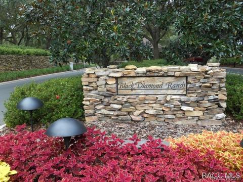 3786 W Augusta Path, Lecanto, FL 34461 photo 31