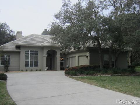 3786 W Augusta Path, Lecanto, FL 34461 photo 1