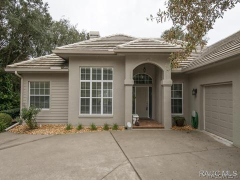 3786 W Augusta Path, Lecanto, FL 34461 photo 28