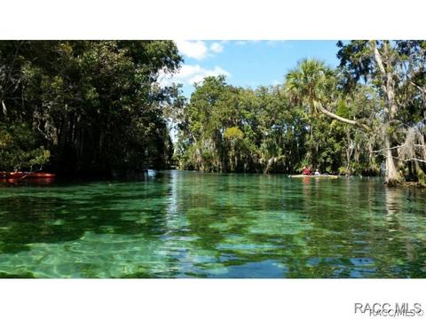 3786 W Augusta Path, Lecanto, FL 34461 photo 36
