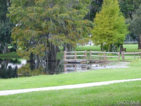3671 E Arbor Lakes Dr, Hernando, FL 34442 photo 25