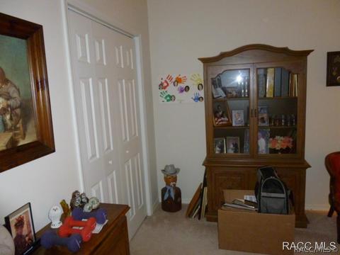 3671 E Arbor Lakes Dr, Hernando, FL 34442 photo 15