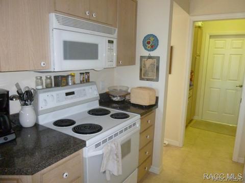 3671 E Arbor Lakes Dr, Hernando, FL 34442 photo 9