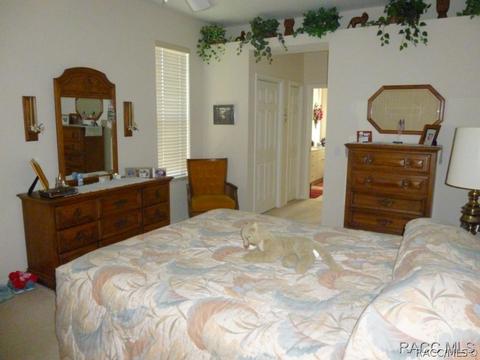 3671 E Arbor Lakes Dr, Hernando, FL 34442 photo 19
