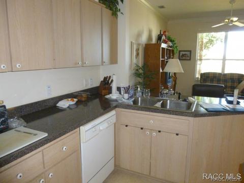 3671 E Arbor Lakes Dr, Hernando, FL 34442 photo 3