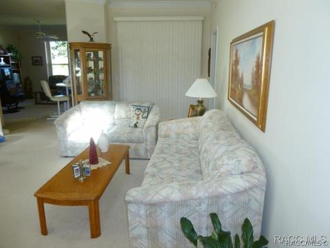 3671 E Arbor Lakes Dr, Hernando, FL 34442 photo 12