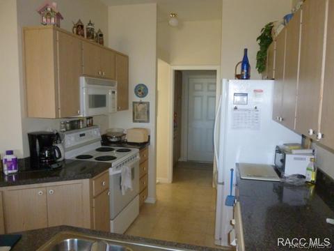 3671 E Arbor Lakes Dr, Hernando, FL 34442 photo 8