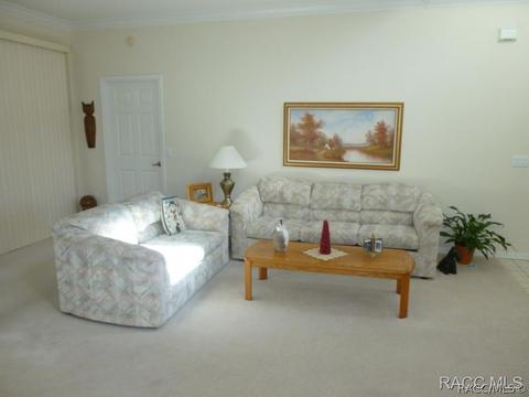 3671 E Arbor Lakes Dr, Hernando, FL 34442 photo 16