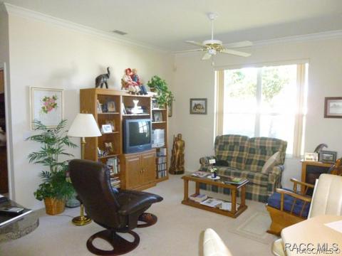3671 E Arbor Lakes Dr, Hernando, FL 34442 photo 4