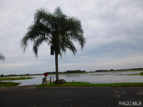 3671 E Arbor Lakes Dr, Hernando, FL 34442 photo 31