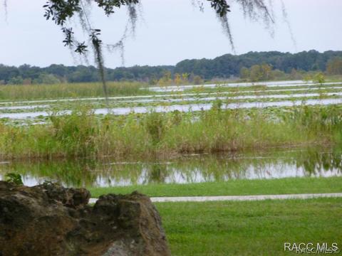 3671 E Arbor Lakes Dr, Hernando, FL 34442 photo 28