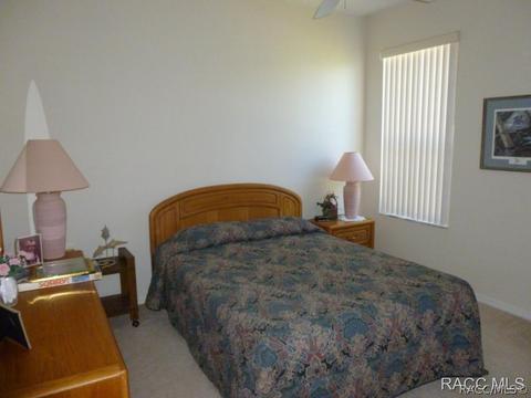3671 E Arbor Lakes Dr, Hernando, FL 34442 photo 20