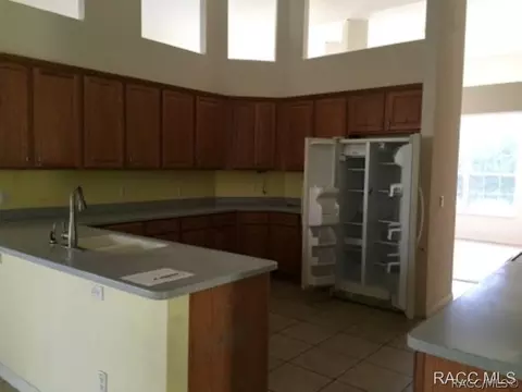 1721 E Bismark St, Hernando, FL 34442 photo 9