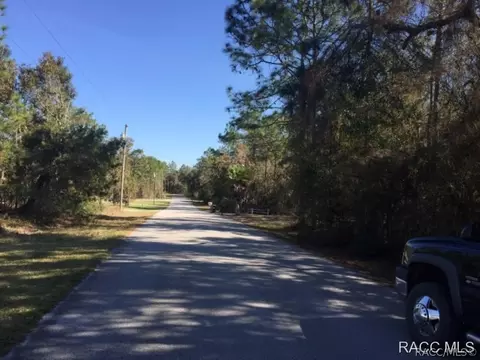 1721 E Bismark St, Hernando, FL 34442 photo 18