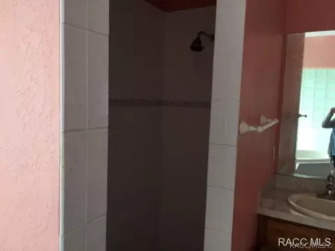 1721 E Bismark St, Hernando, FL 34442 photo 8