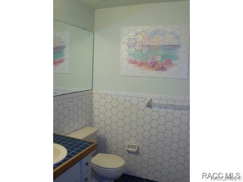 480 E Knightsbridge Pl, Lecanto, FL 34461 photo 11