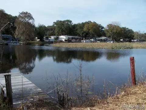 4664 N Canoe Ter, Hernando, FL 34442 photo 2
