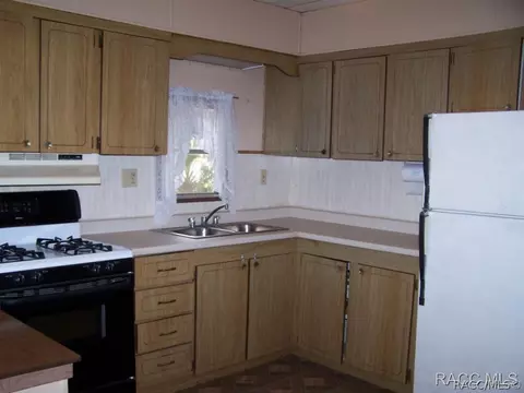 4664 N Canoe Ter, Hernando, FL 34442 photo 6