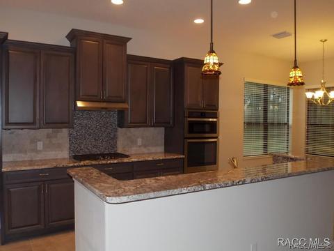 355 W Doerr Path, Hernando, FL 34442 photo 10