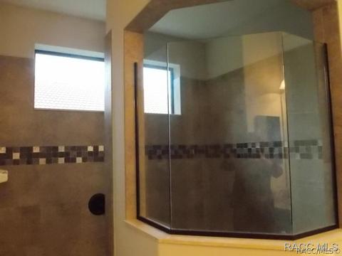 355 W Doerr Path, Hernando, FL 34442 photo 12