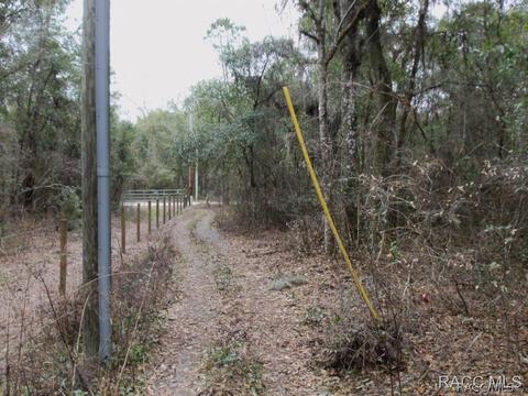 1865 E Blackforest Rd, Dunnellon, FL 34434 photo 22
