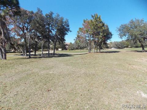 1893 N Eagle Chase Dr, Hernando, FL 34442 photo 3