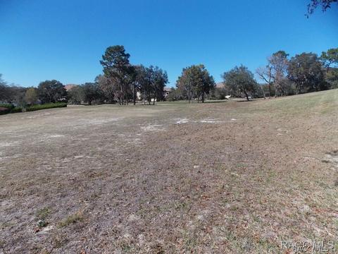 1893 N Eagle Chase Dr, Hernando, FL 34442 photo 2