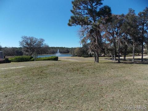 1893 N Eagle Chase Dr, Hernando, FL 34442 photo 1