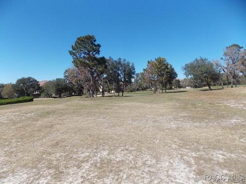 1893 N Eagle Chase Dr, Hernando, FL 34442 photo 4