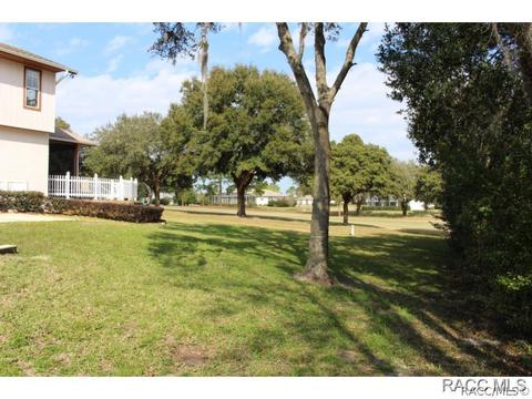 121 E Glassboro Ct, Hernando, FL 34442 photo 21