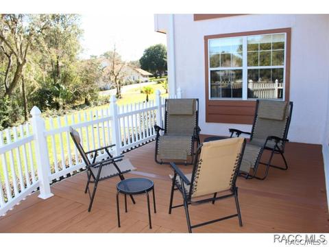121 E Glassboro Ct, Hernando, FL 34442 photo 18