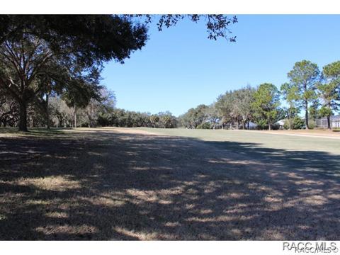 121 E Glassboro Ct, Hernando, FL 34442 photo 22