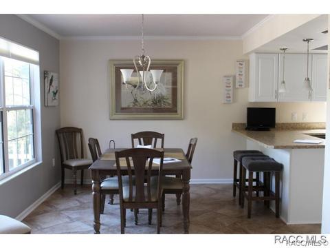 121 E Glassboro Ct, Hernando, FL 34442 photo 8
