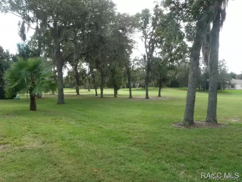 510 E Ireland Ct, Hernando, FL 34442 photo 35