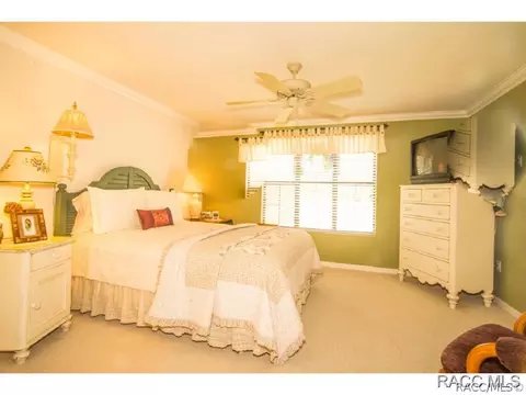 510 E Ireland Ct, Hernando, FL 34442 photo 20